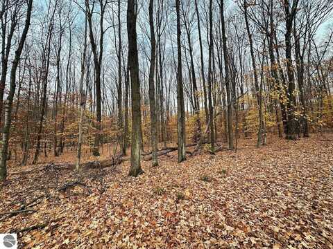 Lot 44 Hauschen Lane, Bellaire, MI 49615