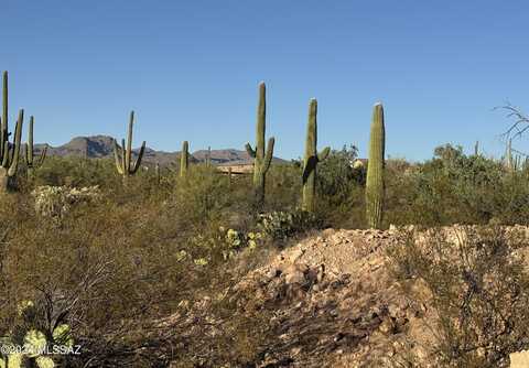 10510 N Blue Bonnet Road, Tucson, AZ 85742