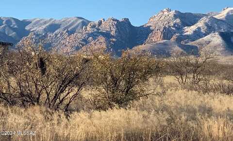 TBD109C W DOE RANCH Road, Pearce, AZ 85625