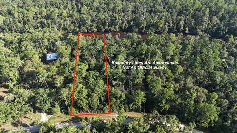 353 NE Madison Bluffs Way, Lee, FL 32059