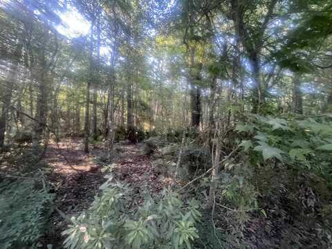 Riverwood Road, Tallahassee, FL 32303