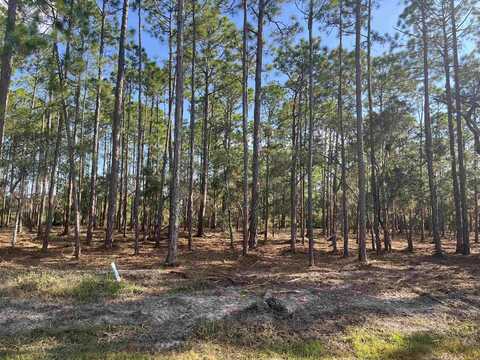 Lot 63 Sevier Street, Ochlockonee Bay, FL 32346