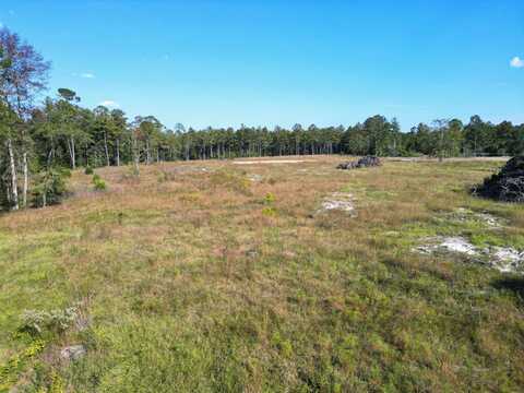 17752 NE Arnold Kelly Road, Hosford, FL 32334