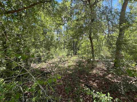 Tamarac Road, Marianna, FL 32448