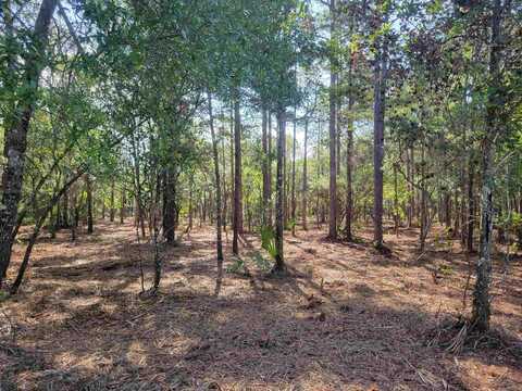 Gentleman Road, Ochlockonee Bay, FL 32346