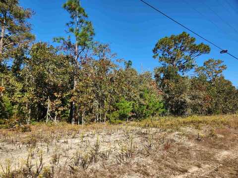 Xxx NE SR 65 Road, Hosford, FL 32334