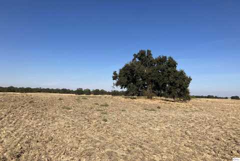 0 Paskenta Road, Flournoy, CA 96029