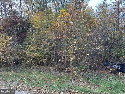 Lot 2 PARK AVE, WHITE PLAINS, MD 20695