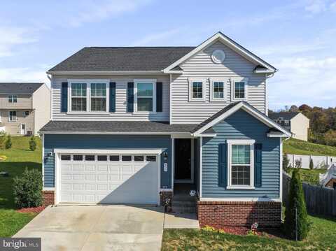 433 WARRENFELTZ PLACE, STRASBURG, VA 22657