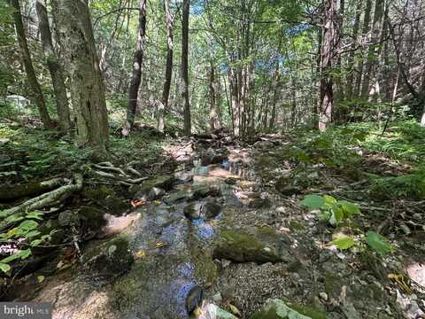 95+/- ACRES LAUREL MOUNTAIN RD, THREE SPRINGS, PA 17264