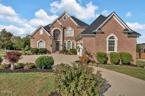 301 Harbor Approach, Johnson City, TN 37601