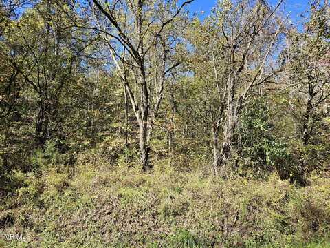 00 Cave Springs Road, Rogersville, TN 37857