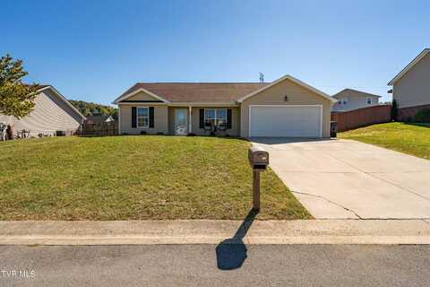 113 Yellow Sorrell Drive, Bluff City, TN 37618