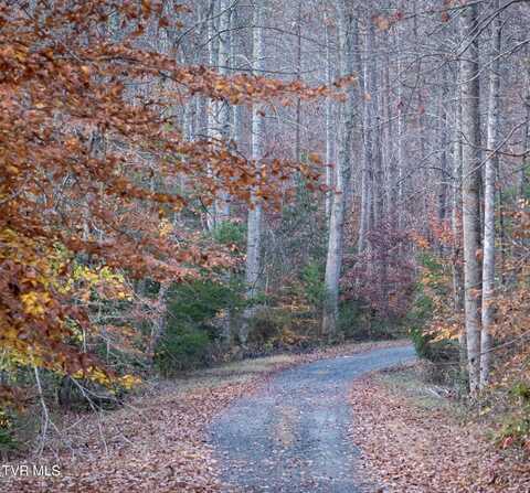 Tbd Fire Station Road, Elizabethton, TN 37643