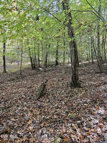 5.85 Acres Judge Clark Road, Jonesborough, TN 37659