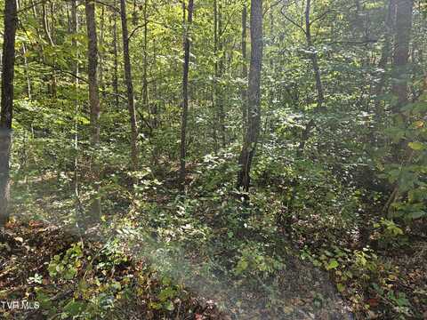 000 Cave Springs Road, Rogersville, TN 37857