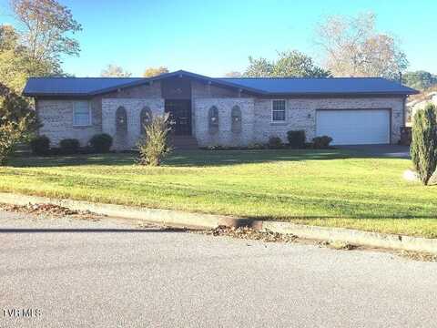 1209 Vanleer Avenue, Johnson City, TN 37604