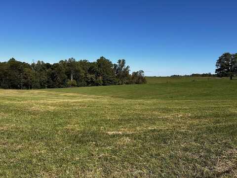 Celina Rd Lot 21, RED BOILING SPRINGS, TN 37140