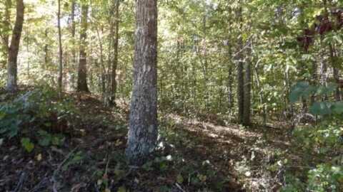 Lot 23 Riverwatch Trace, SPARTA, TN 38583