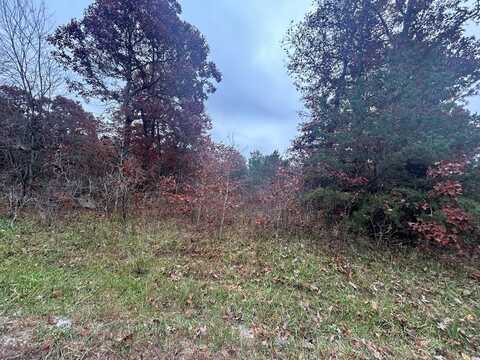 n/a Old Collins Turnpike, Deer Lodge, TN 37726