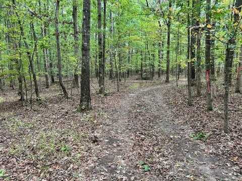 Laurel Lake Rd, MONTEAGLE, TN 37356