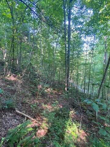 Lot 383 East Obey Lane, WILDER, TN 38589