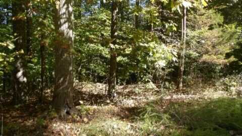 Lot 2 Inland Court, SPARTA, TN 38583