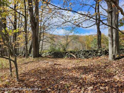 Tbd Dimmick Mountain Road, Fleischmanns, NY 12430