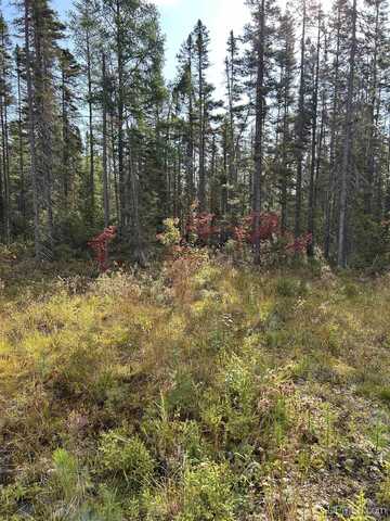 2662 Acres Marquette County, Ishpeming, MI 49849