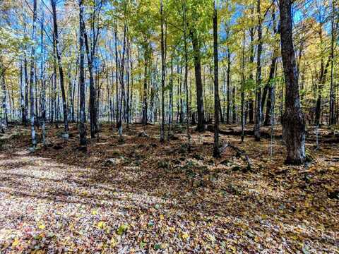 35 acres M-189, Iron River, MI 49935