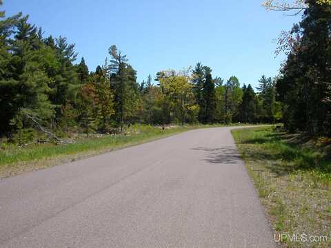 TBD (Lot 41) Eliza Creek, Eagle Harbor, MI 49950