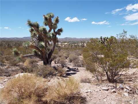 26945 N BULLHEAD Road, Meadview, AZ 86444