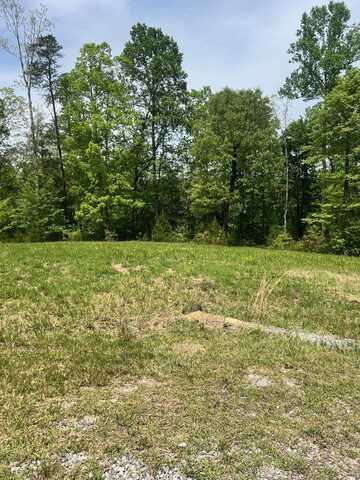 LOT 39 HIGHLAND SHORES LANE Dr, Jasper, AL 35503