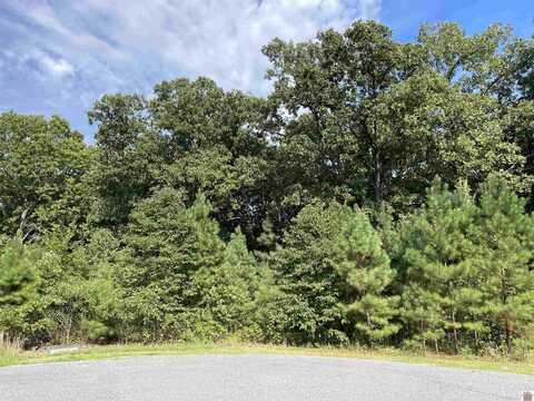 Lot 93 Streetland, Murray, KY 42071