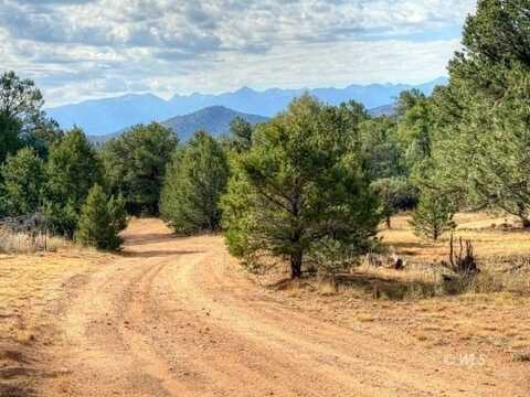 1525 L Path, Texas Creek, CO 81223