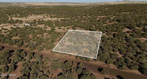 20 County Road 3035, Concho, AZ 85924