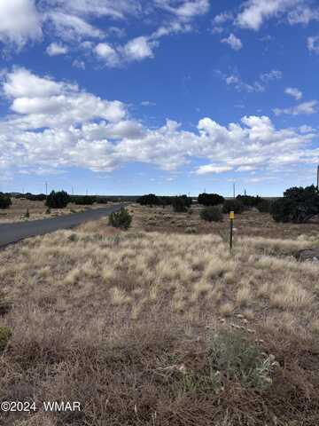 155 Cinder DR (CR 5101), Concho, AZ 85924