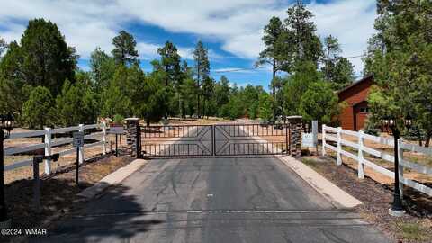 4981 Silver Mountain Drive, Lakeside, AZ 85929