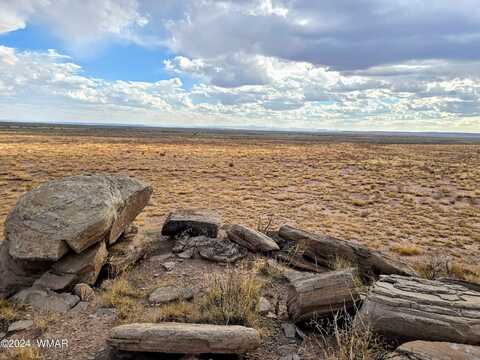 Lot 299 Carrizo Ranches, Saint Johns, AZ 85936