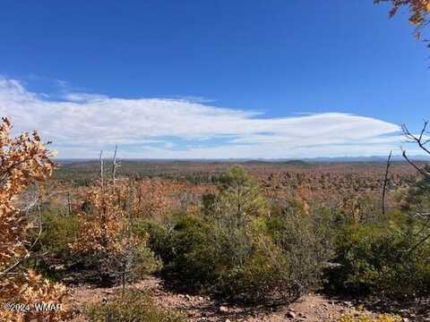 Tbd Fieldy Road, Show Low, AZ 85901