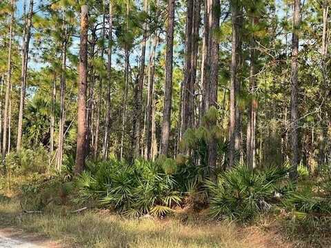 17334 NUTCRACKER ROAD, WEEKI WACHEE, FL 34614