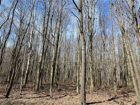 0 Armel Hollow Road, Cook Twp, PA 15650