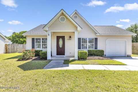 702 Nut Bush Court, Wilmington, NC 28411