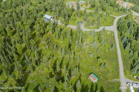 17215 Lunchbox Drive, Ninilchik, AK 99639