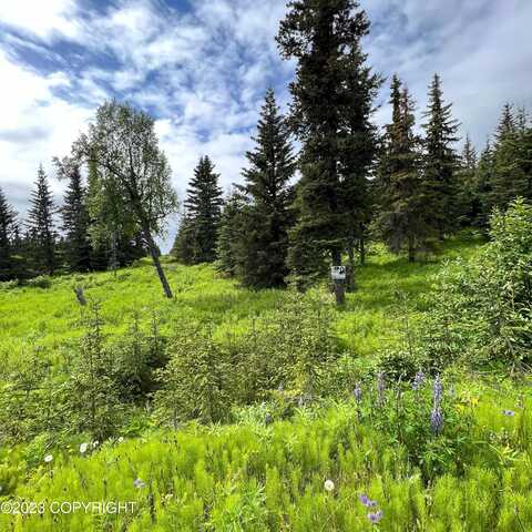 17475 Arcturus Loop, Ninilchik, AK 99639