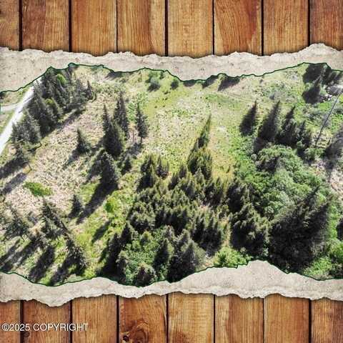 17475 Arcturus Loop, Ninilchik, AK 99639