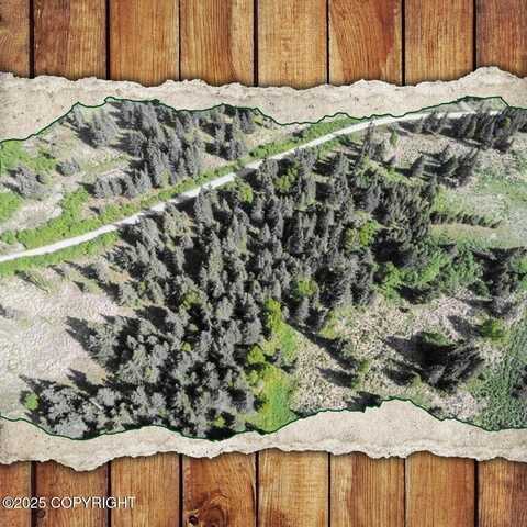 17515 Arcturus Loop, Ninilchik, AK 99639
