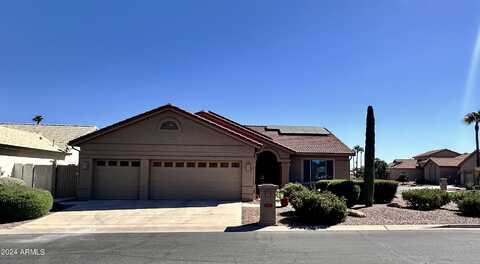 9849 E AMENITY Drive, Sun Lakes, AZ 85248