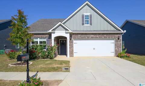 23063 DOWNING PARK CIRCLE, Mc Calla, AL 35111