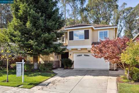 853 Meadow View Dr, Richmond, CA 94806